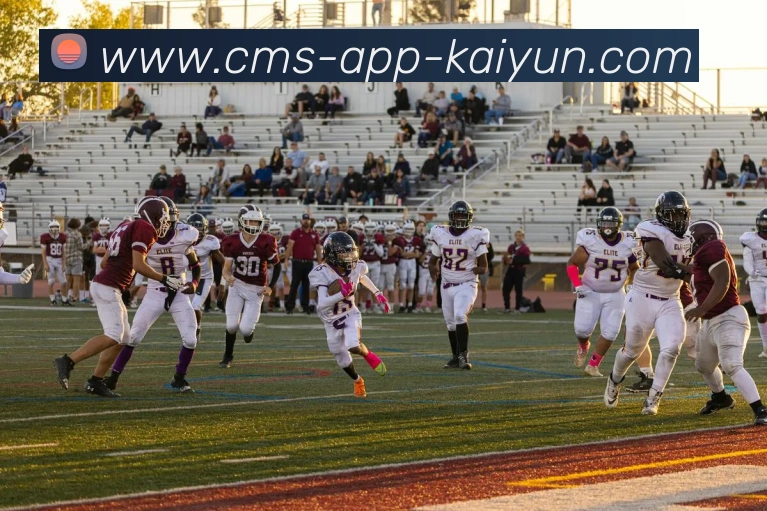 多媒体互动体验